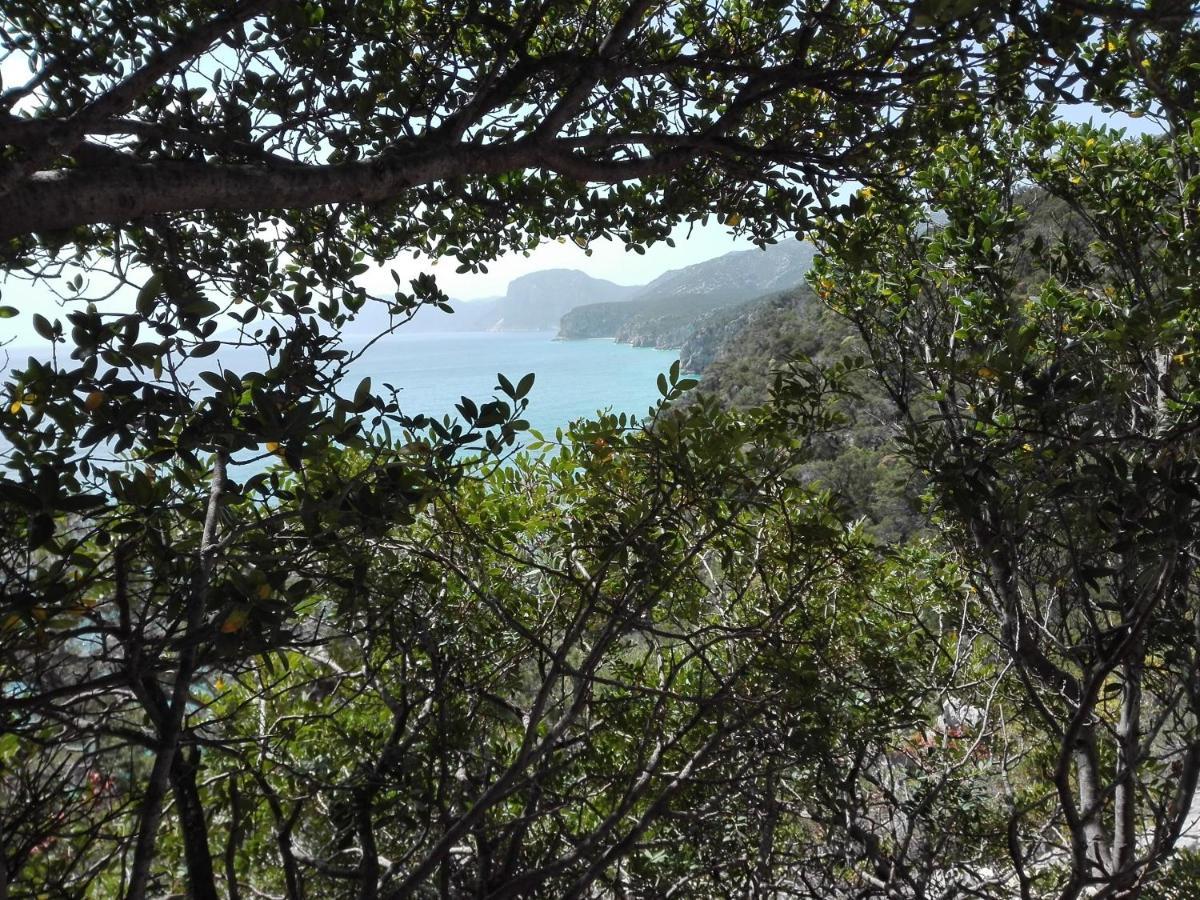 Cala Gonone appartamento a due passi dalla spiaggia Esterno foto