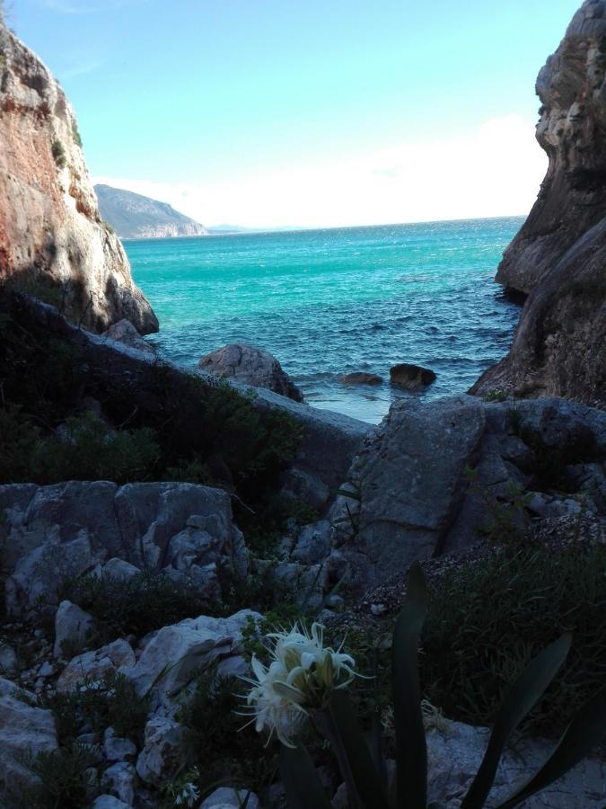 Cala Gonone appartamento a due passi dalla spiaggia Esterno foto